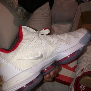 Lebron Nike’s wore once